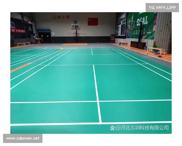 羽毛球场地设计与布局优化对比赛效率和观赏性的影响分析 羽毛球场地设计与布局优化对比赛效率和观赏性的影响分析